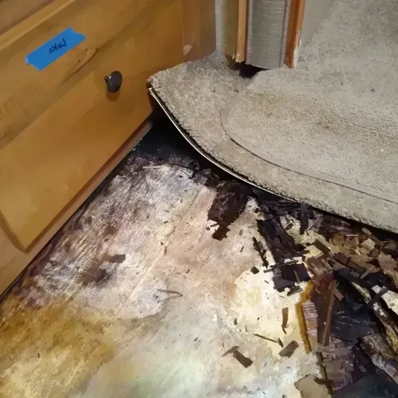 Wood Floor Water Damage in Rendon, TX